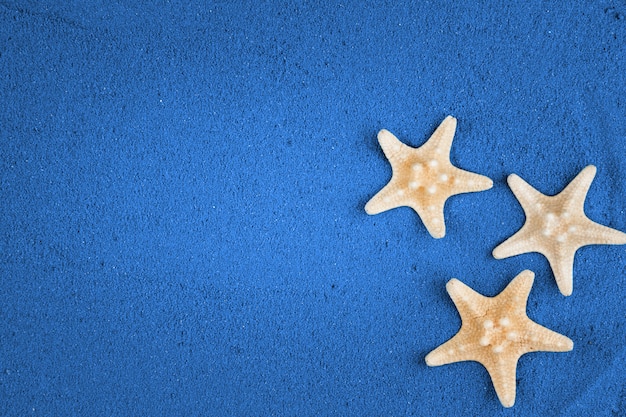 Starfish on the blue sand copy space. Colored sand.