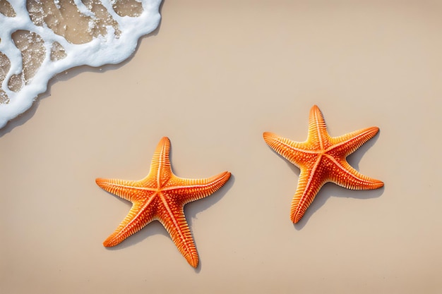 Starfish on the sand beach in clear sea water Summer background Summer time Copy space