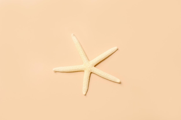 Starfish sea on beach beige background summer background decorative textile isolated object