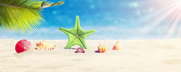 Starfish and seashells on the sunny beach Summer holiday background