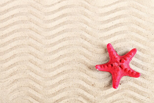 Starfish and shells on the beach