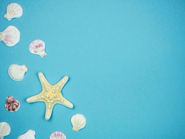 Starfish with seashells on blue background Recreation Concept