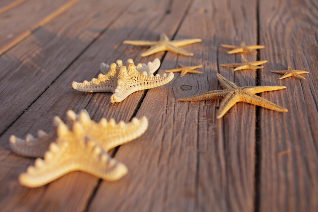 Starfish on a wooden pier poured over a wooden deck