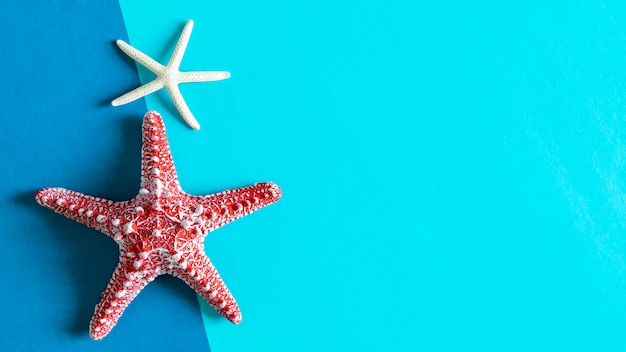 Starfishes on blue paper background with free space for text. Travel and summer background concept.