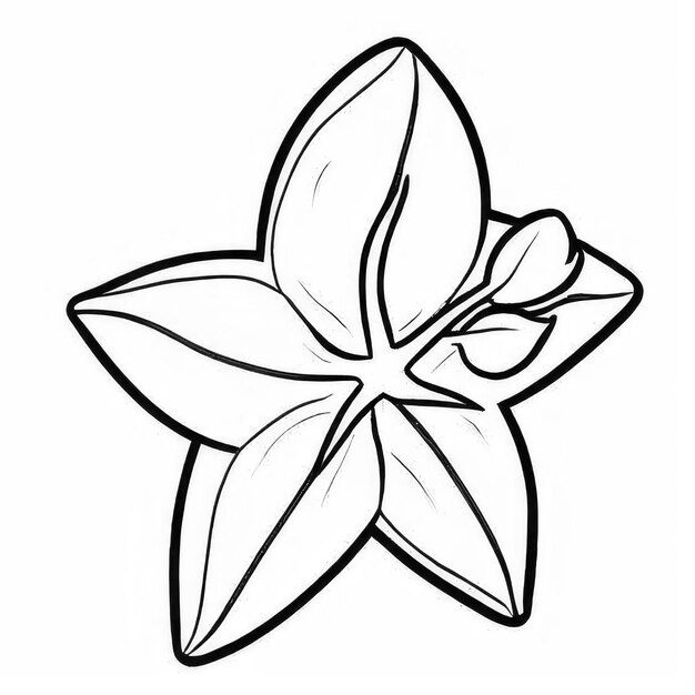 Photo starfruit outline black and white cute coloring book