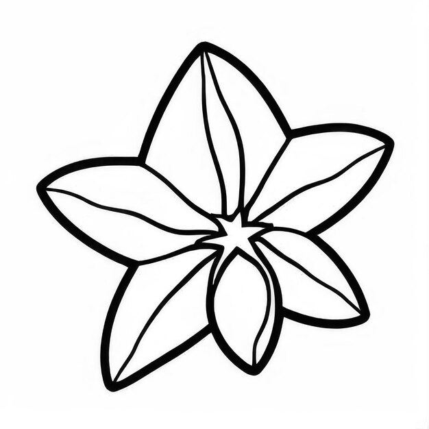 Photo starfruit outline black and white cute coloring book