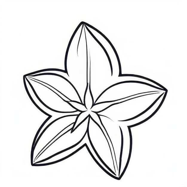 Photo starfruit outline black and white cute coloring book