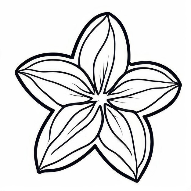 Photo starfruit outline black and white cute coloring book