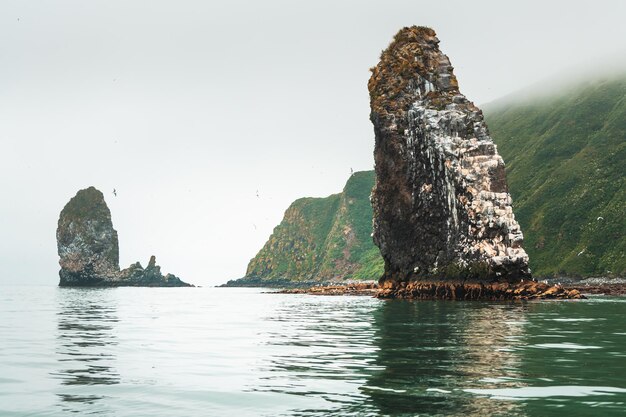 Starichkov island in Pacific ocean Kamchatka Russia Seagulls nest on the rocks