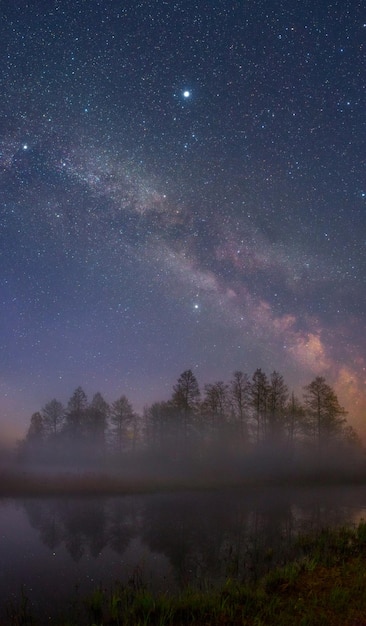 Starry night landscape