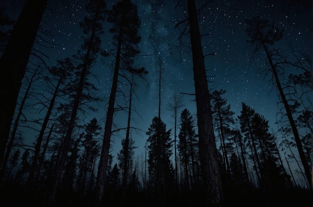 Photo starry night sky through forest silhouettes