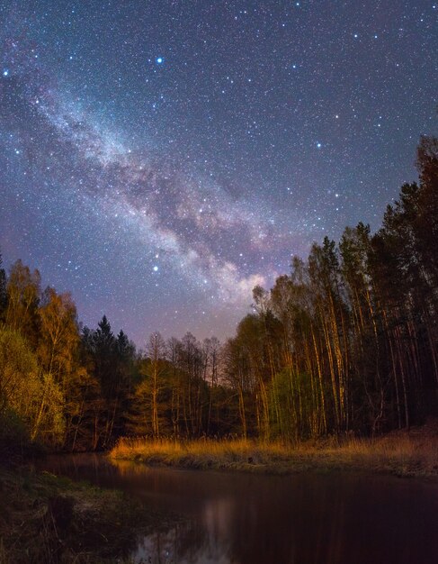 Starry night over a small forest river