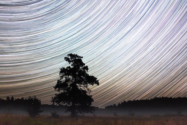 Photo startrails above the field with one lonely tree bright night image of long startrails above misty valley and a tree