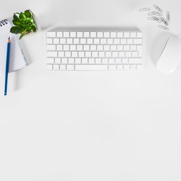 Stationery and plant near keyboard and mouse