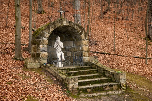 Photo statue of jesus christ in a beech forest along the path to yasnaya hill to the goshiv monastery in autumn ukraine