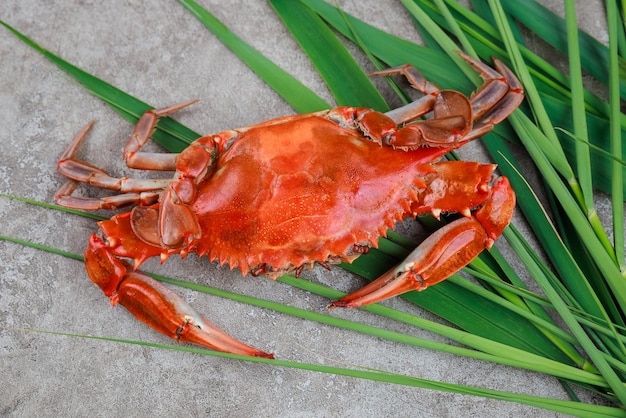 Steamed crab with grass on a grey surface