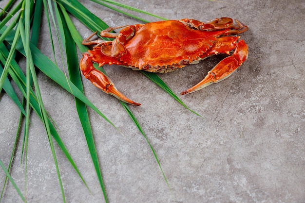 Steamed crab with grass on a grey surface