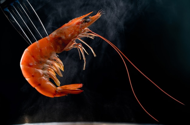 Steamed shrimp on fork isolated on dark background  