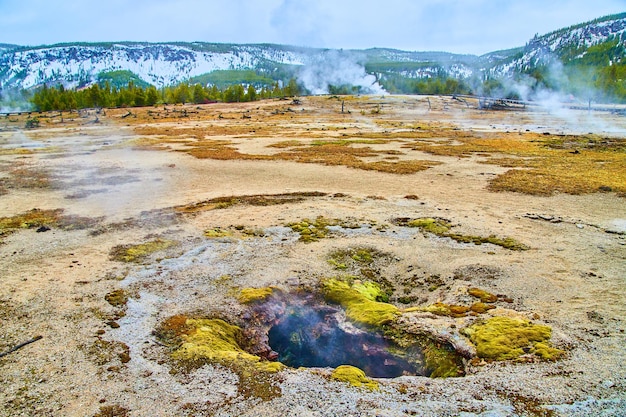 Steamy sulfur comes off hole in Yellowstone basin