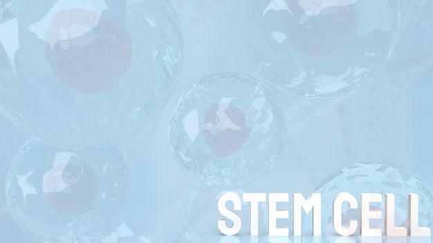 Stem cell text on sci background 3d rendering