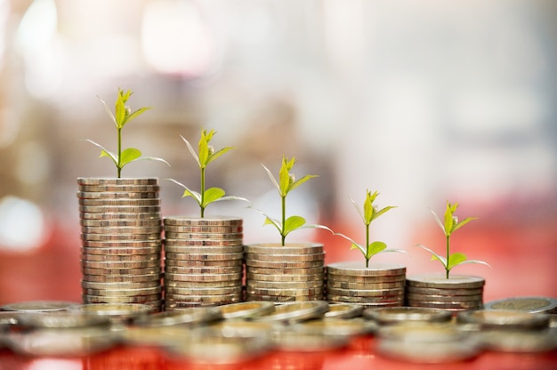 Step of coins with plant growing on top