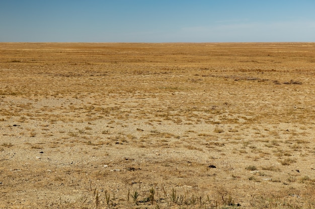 Steppe in Kazakhstan, deserted beautiful landscape, dry grass