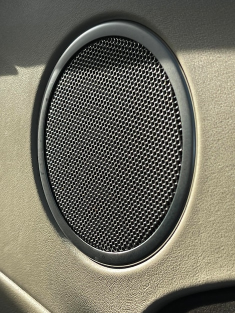 Stereo speaker in car door