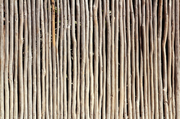 Stick white wood trunk fence tropical Mayan wall