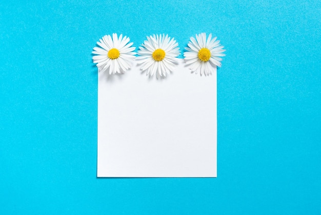 Sticky Note With Important Messages With Three Flowers Above Memo With Crutial Informations With Daisies On Top Piece Of Paper With Current Announcements