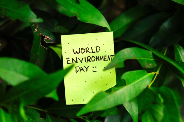 Photo sticky notes with plants in the garden as a background environment world day concept