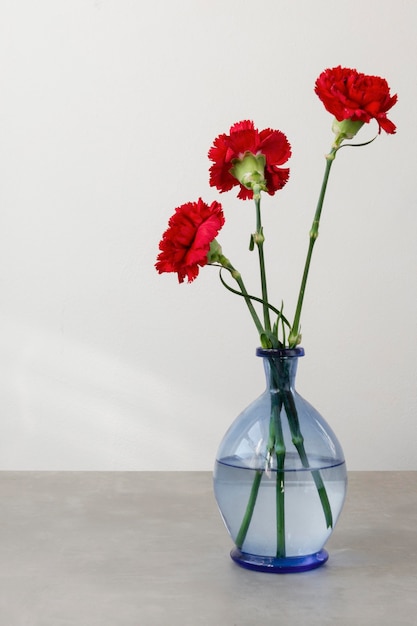 Still life assortment of interior flowers in vase