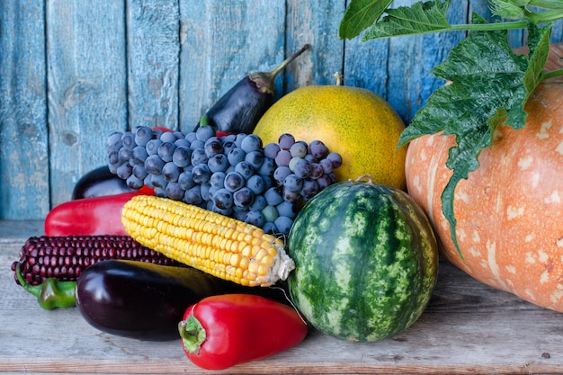 Still life of autumn vegetables: melon, watermelon, corn, eggplant, peppers, tomatoes