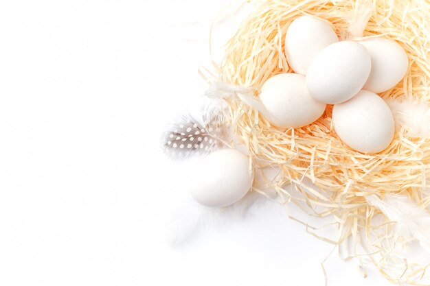 Still life of eggs, Eggs on the dry grass