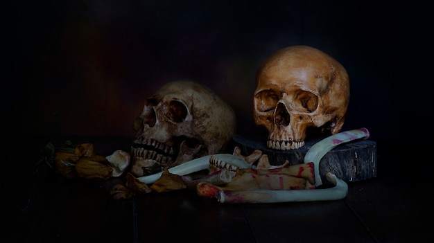 still life of human skull on dark background 