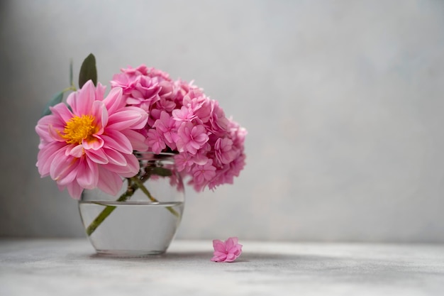 Still life pink flower bouwuet pink hydrangea and dahlias in glass vase on neutral background soft selective focus