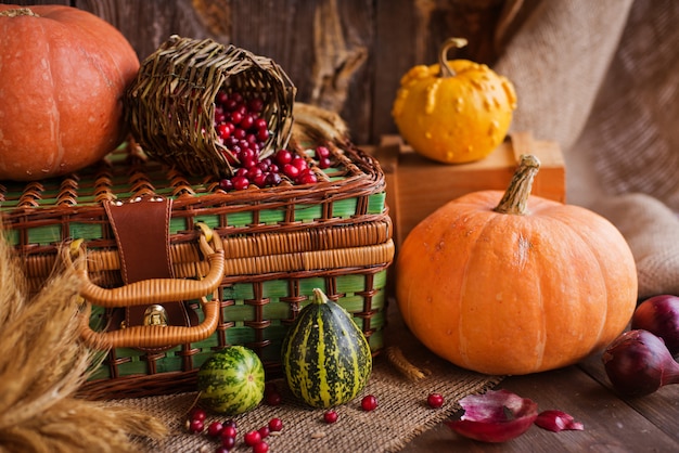 Still life of pumpkins