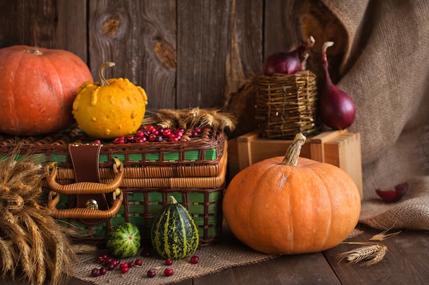 Still life of pumpkins