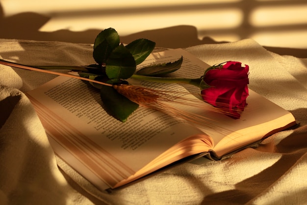 Still life of sant jordi for the day of books and roses