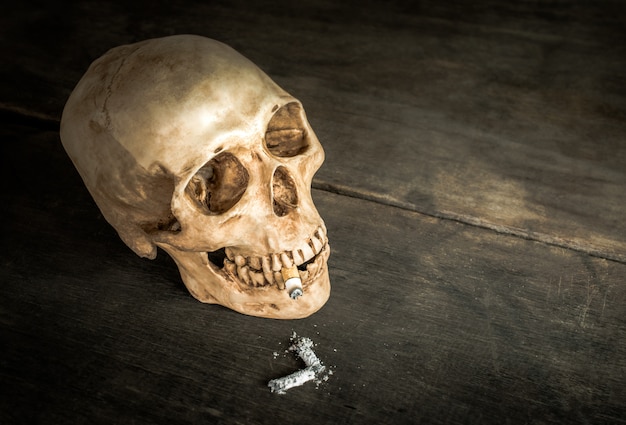 Still life Skull of a Skeleton with Burning Cigarette, stop smoking campaign concept with copy space.