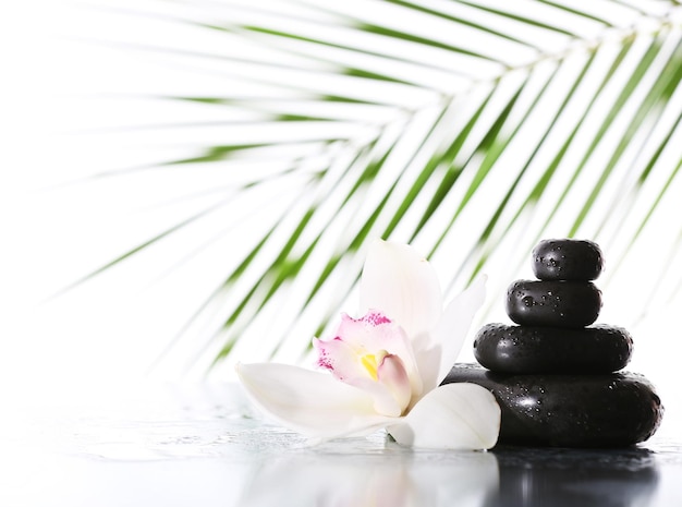 Still life of spa stones on wet glossy surface isolated on white