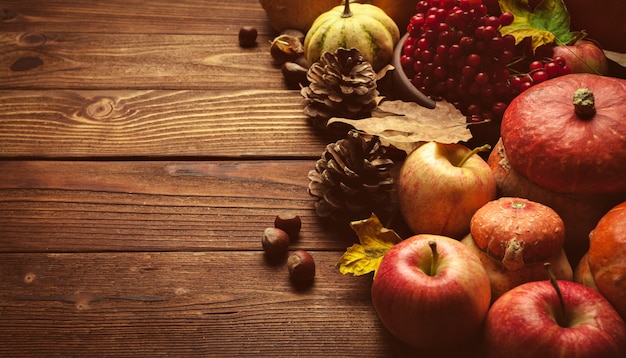 still life with apple fruits