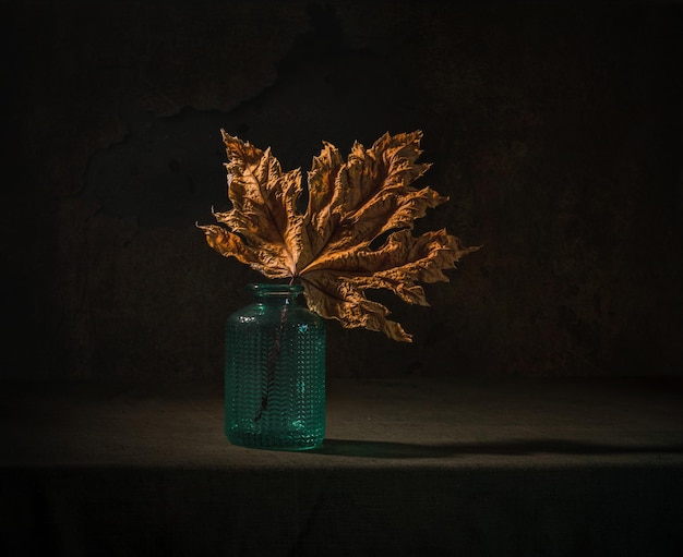 Still life with autumn leaf. Maple Leaf. Autumn.