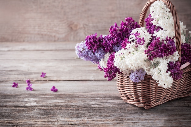 Still life with a blooming branch of lilac