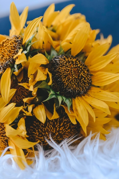 still life with bouquet of sunflower