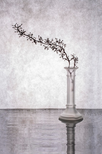 Still life with a branch in a glass vase on a gray background