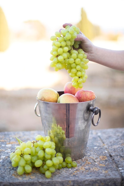 Still life with fruit a bucket of apples and grapes Bunch of vineyards