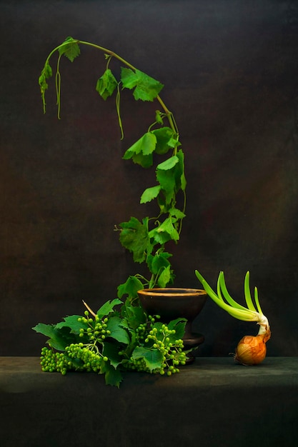 Still life with green viburnum berries and onions in a vase