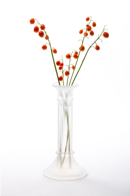 Still life with lily of the valley berries in a glass vase on a white background