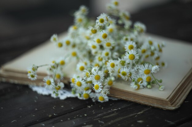 still life with old book and white summer flowers