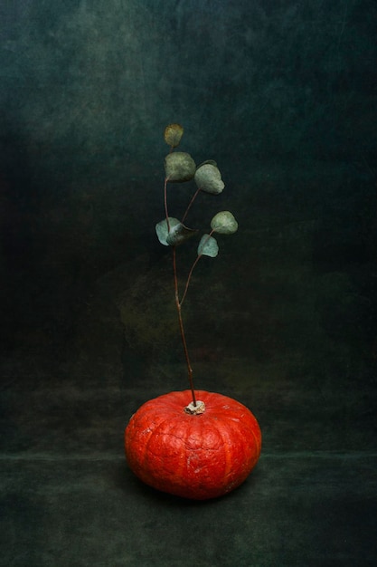 Still life with a pumpkin and a branch of a plant